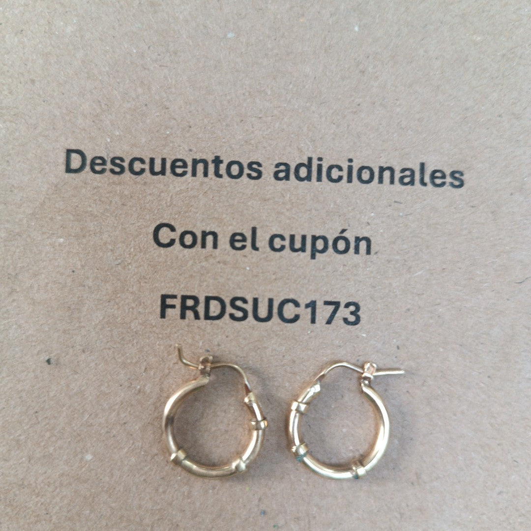 ARRACADAS PAR ORO 10 K 1.8 GRMS (SEMINUEVO)
