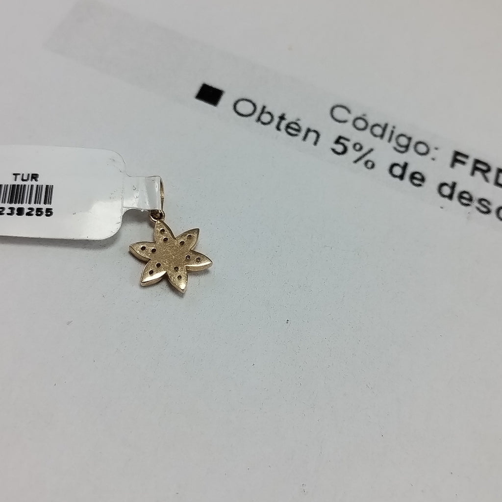 DIJES ORO 14K 1 (NUEVO)