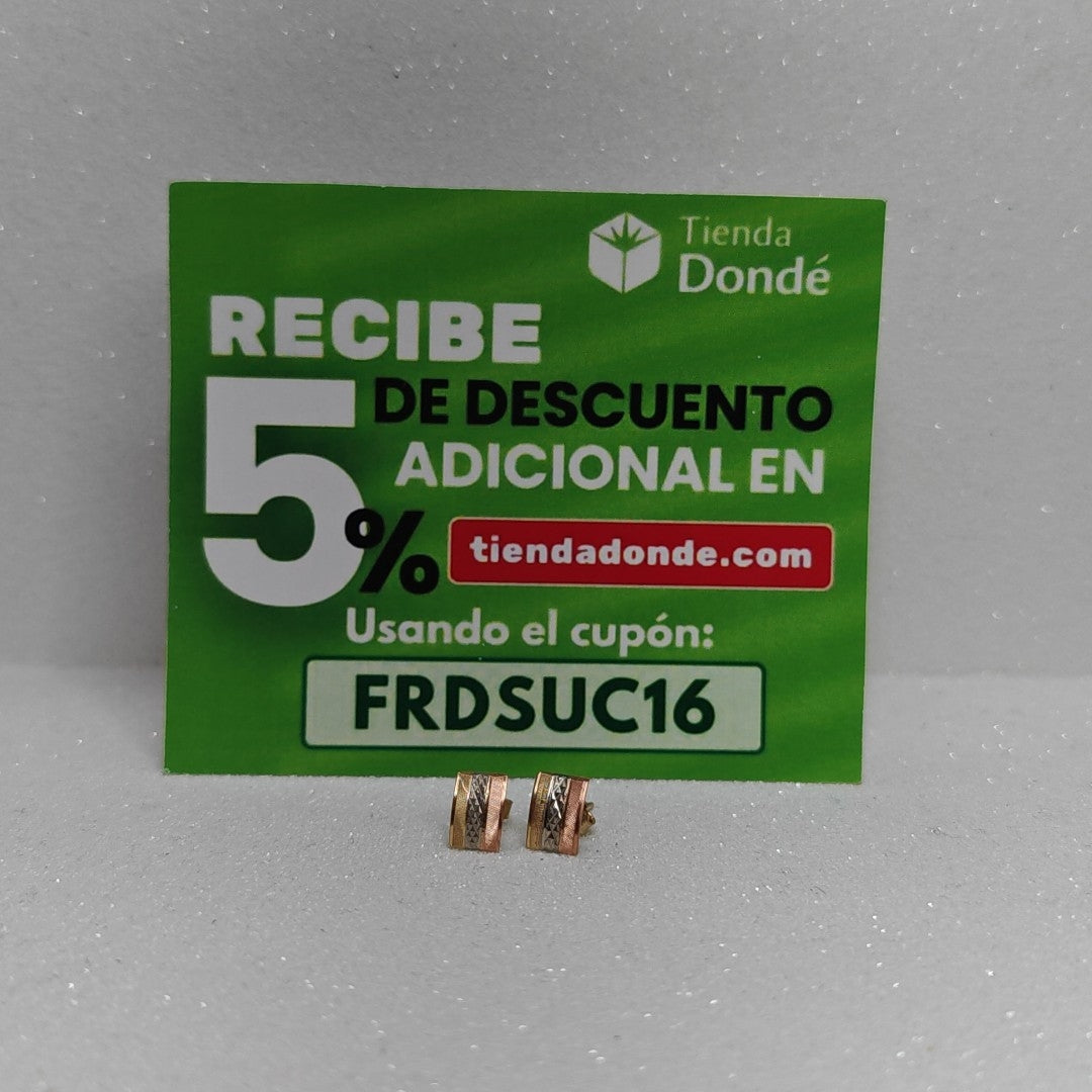 ARETES PAR ORO 10 K 1 GRMS (SEMINUEVO)