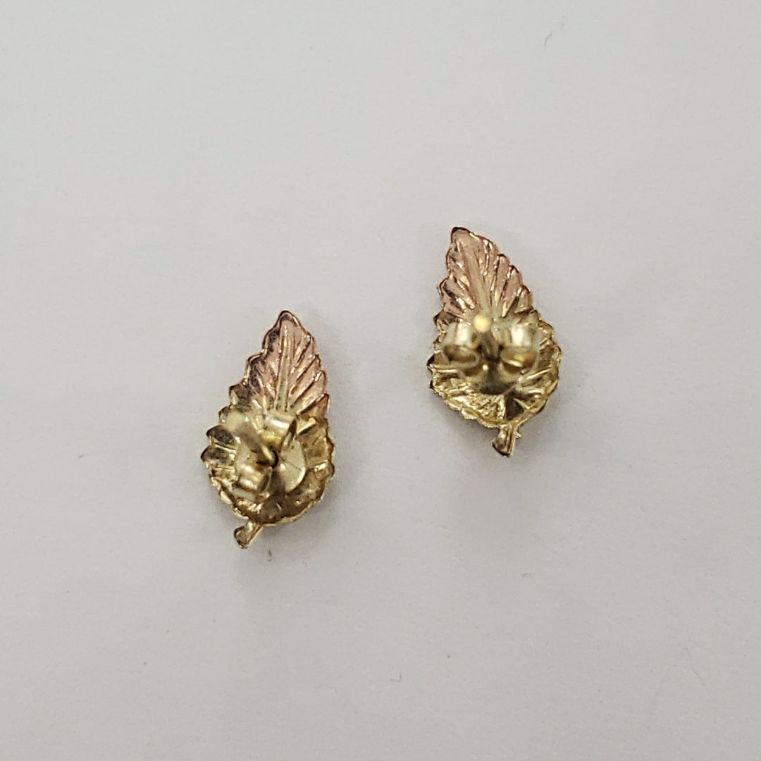 ARETES PAR ORO 10 K 0.9 GRMS (SEMINUEVO)