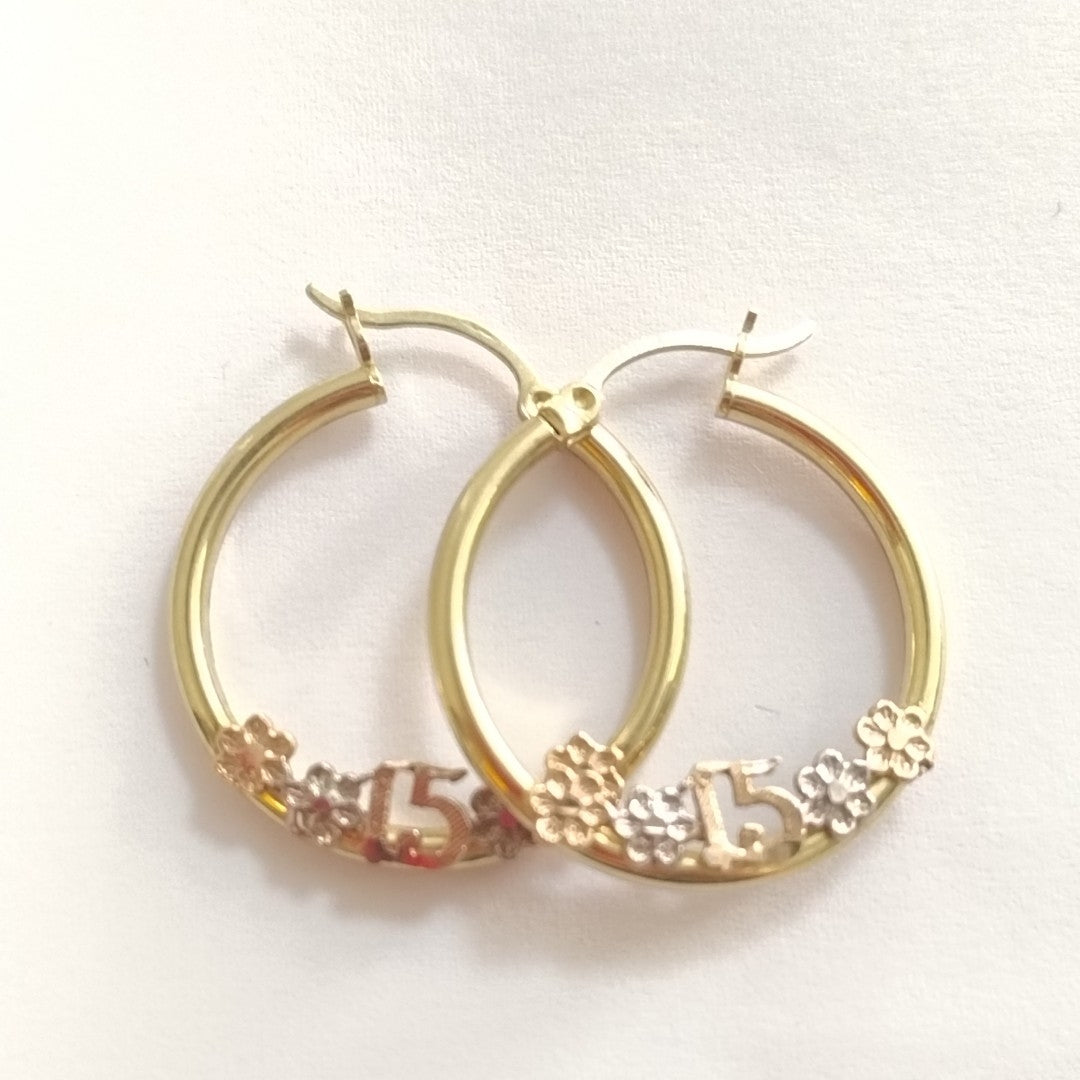 ARRACADAS PAR ORO 14 K 2.4 GRMS (SEMINUEVO)
