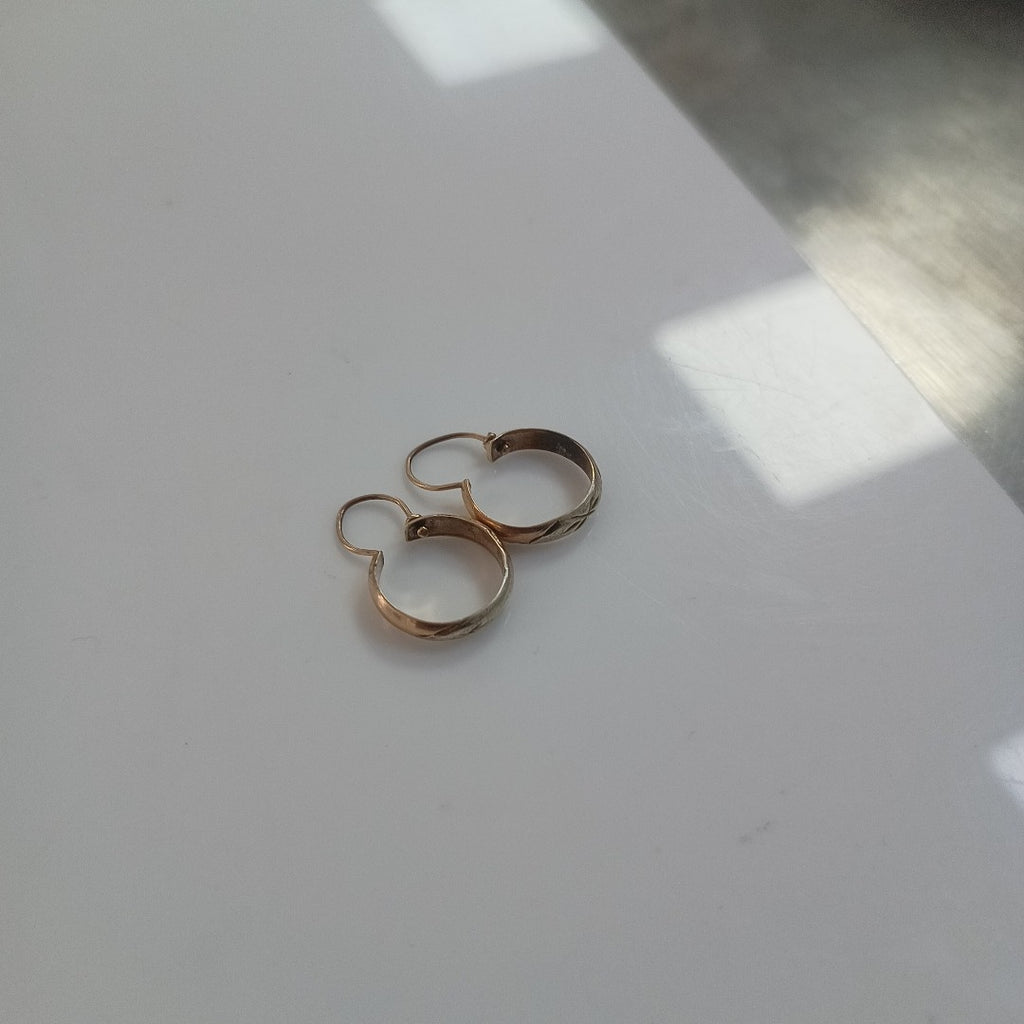 ARRACADAS PAR ORO 10 K 1.5 GRMS (SEMINUEVO)