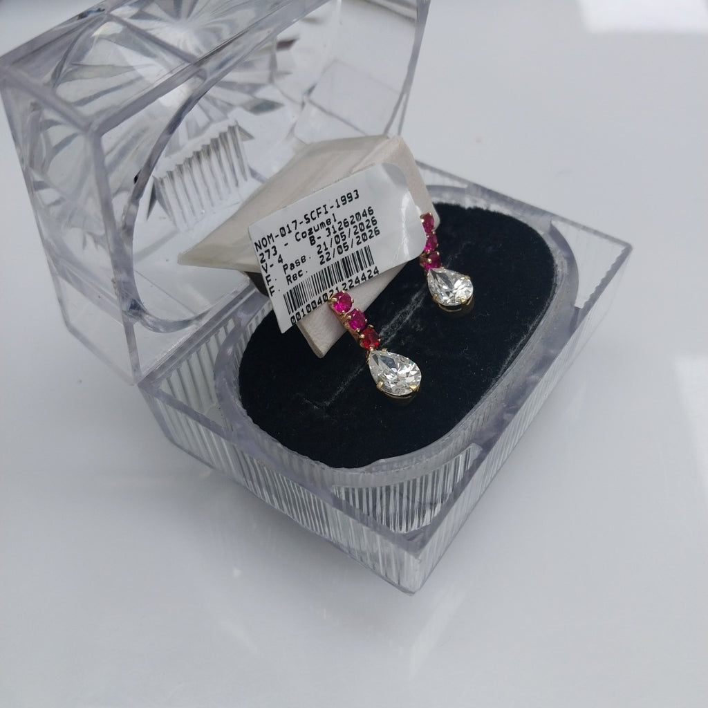 ARETES PAR ORO 10 K 2.1 GRMS (SEMINUEVO)
