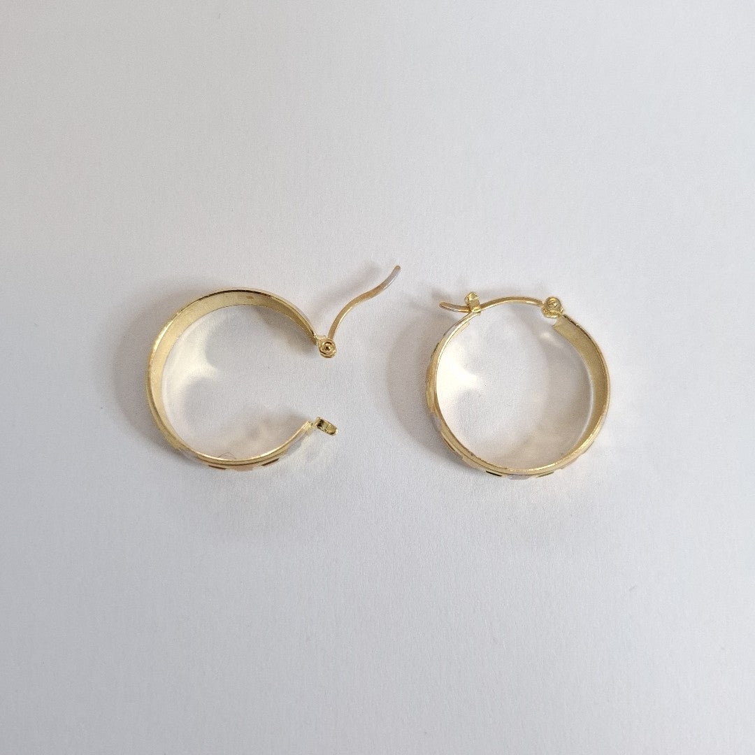 ARRACADAS PAR ORO 10 K 2,70 GRMS (SEMINUEVO)