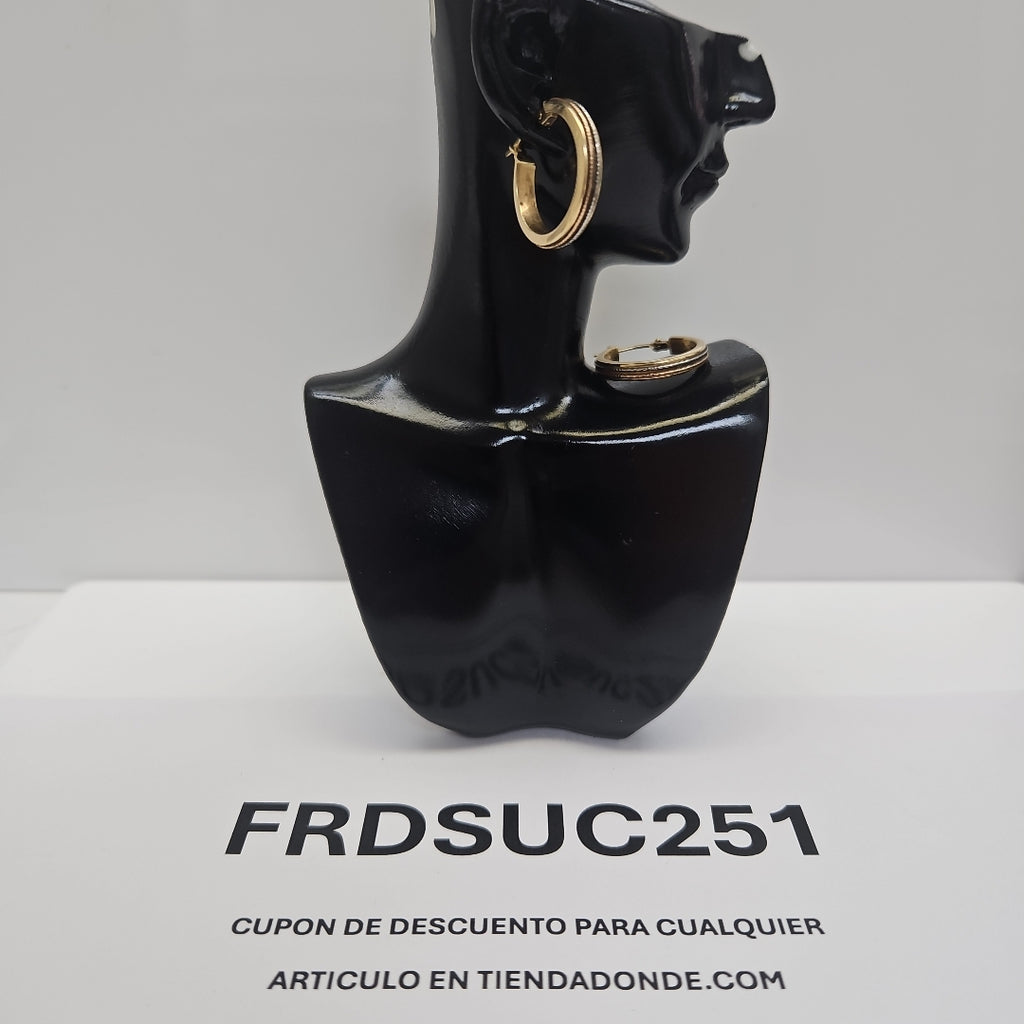 ARRACADAS PAR ORO 14 K 2 GRMS (SEMINUEVO)