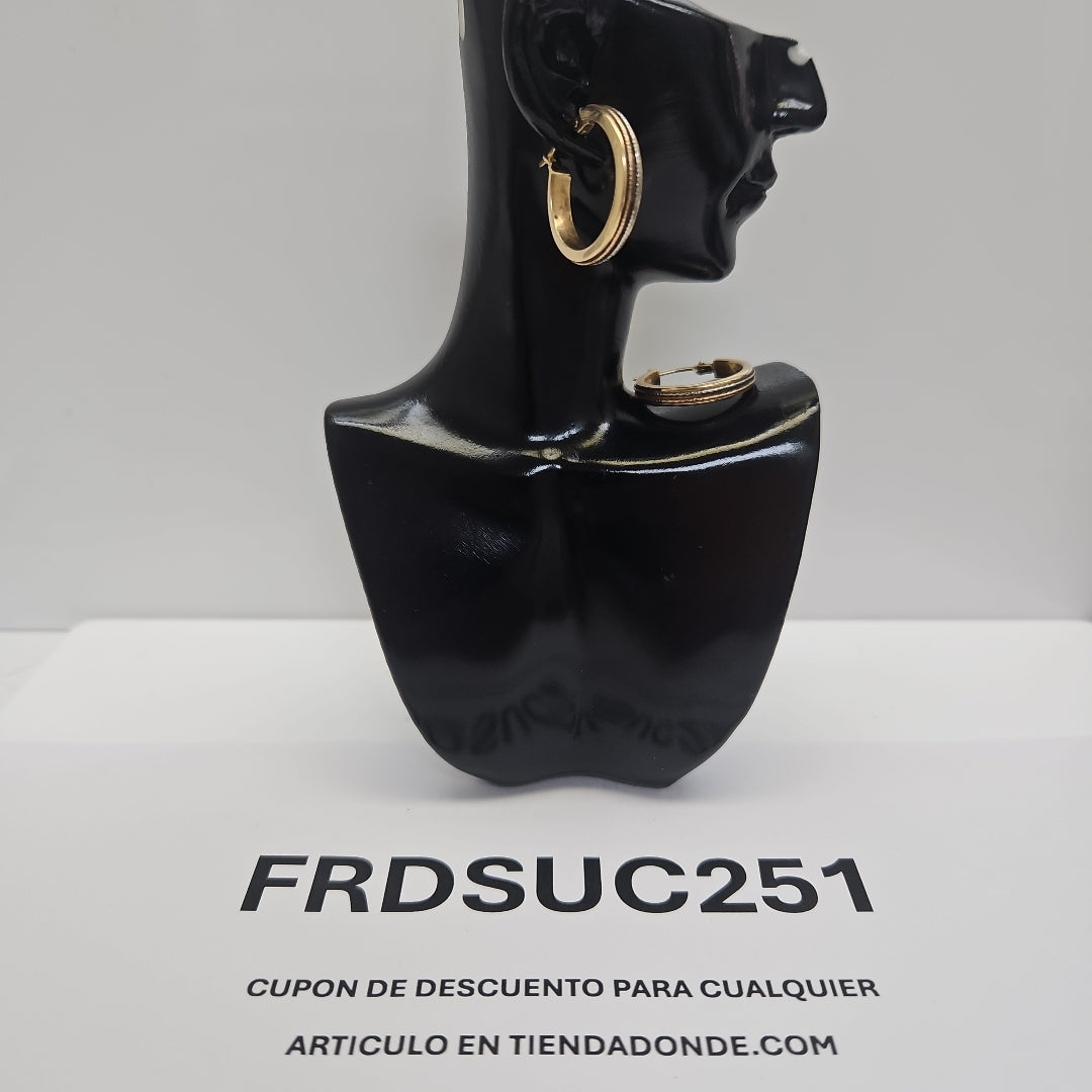 ARRACADAS PAR ORO 14 K 2 GRMS (SEMINUEVO)