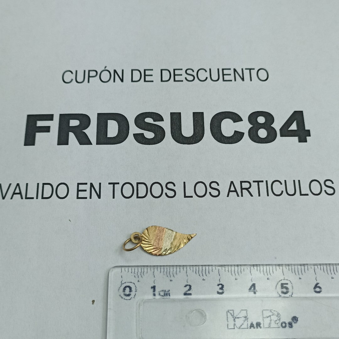 DIJE ORO 10 K 0.7 GRMS (SEMINUEVO)