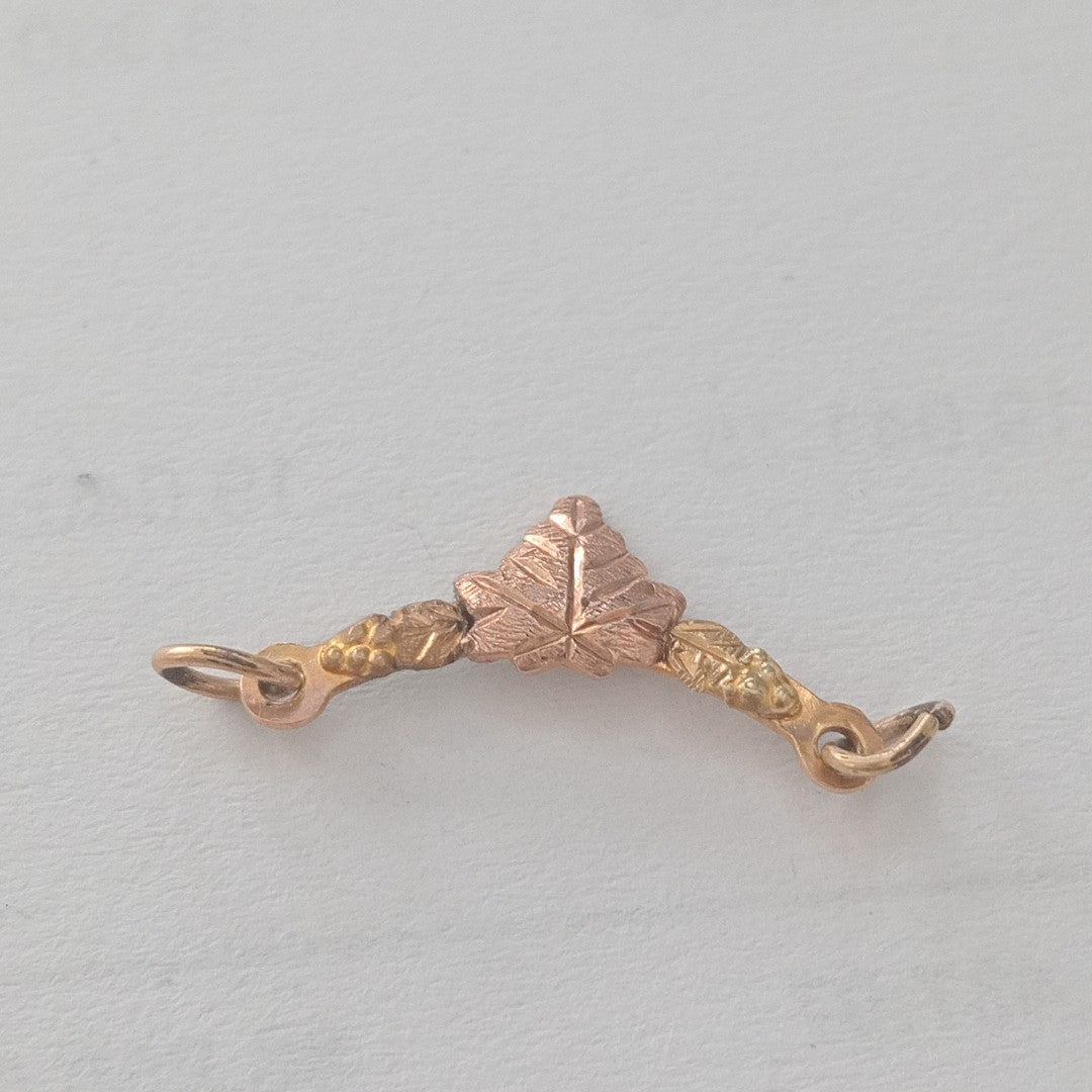DIJE ORO COMBINADO 10 K 0,40 GRMS (SEMINUEVO)