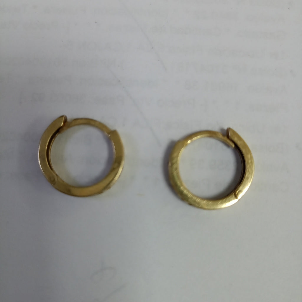 ARETES PAR ORO 10 K 2 GRMS (SEMINUEVO)