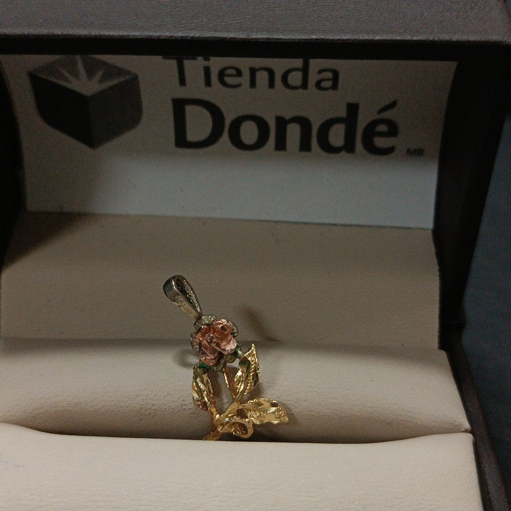 DIJE ORO 10 K 1,50 GRMS (SEMINUEVO)