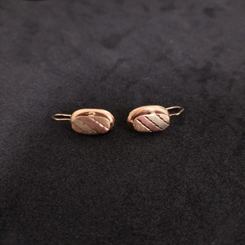 ARETES PAR ORO 10 K 1.8 GRMS (SEMINUEVO)