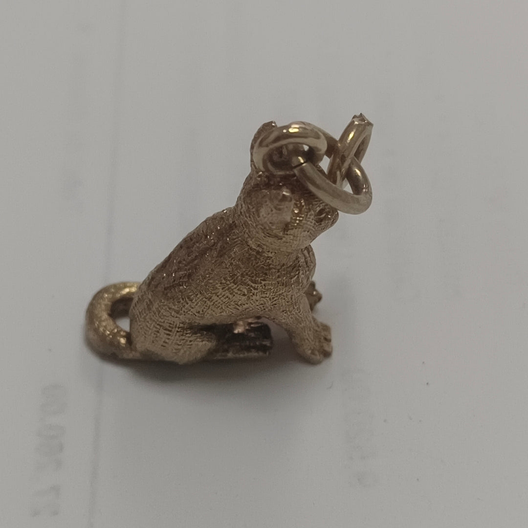 DIJE ORO 14 K 6.3 GRMS (SEMINUEVO)