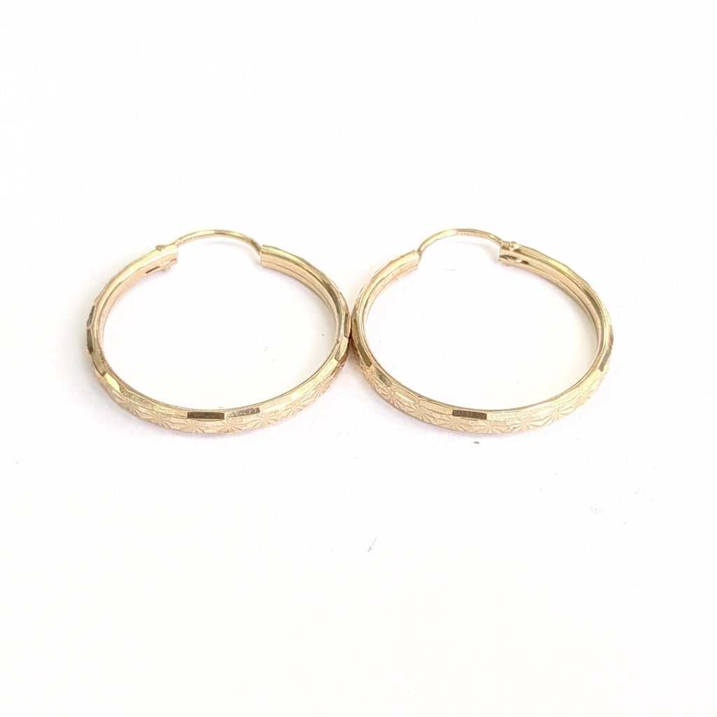 ARRACADAS PAR ORO 10 K 2,30 GRMS (SEMINUEVO)