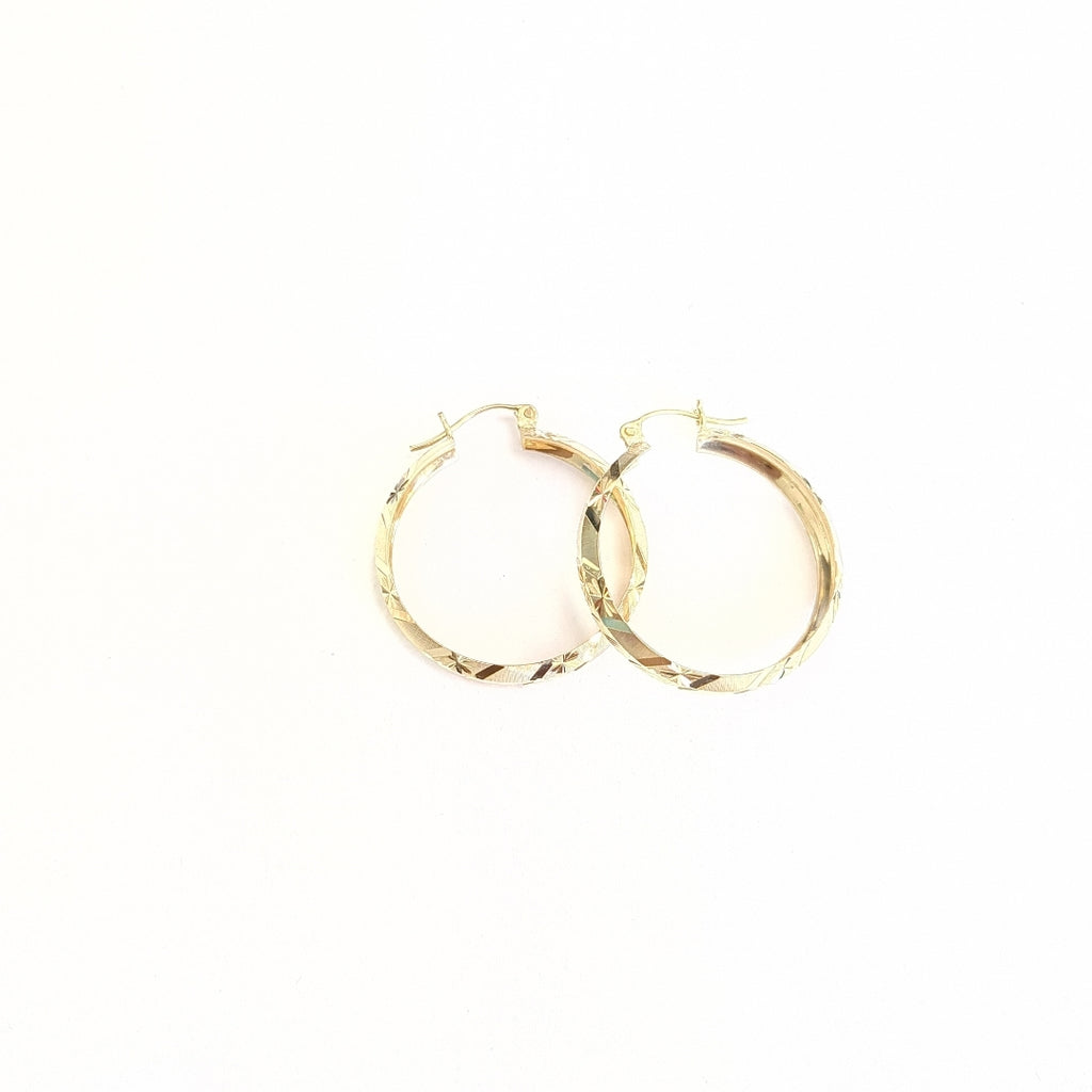 ARRACADAS PAR ORO 10 K 3,80 GRMS (SEMINUEVO)