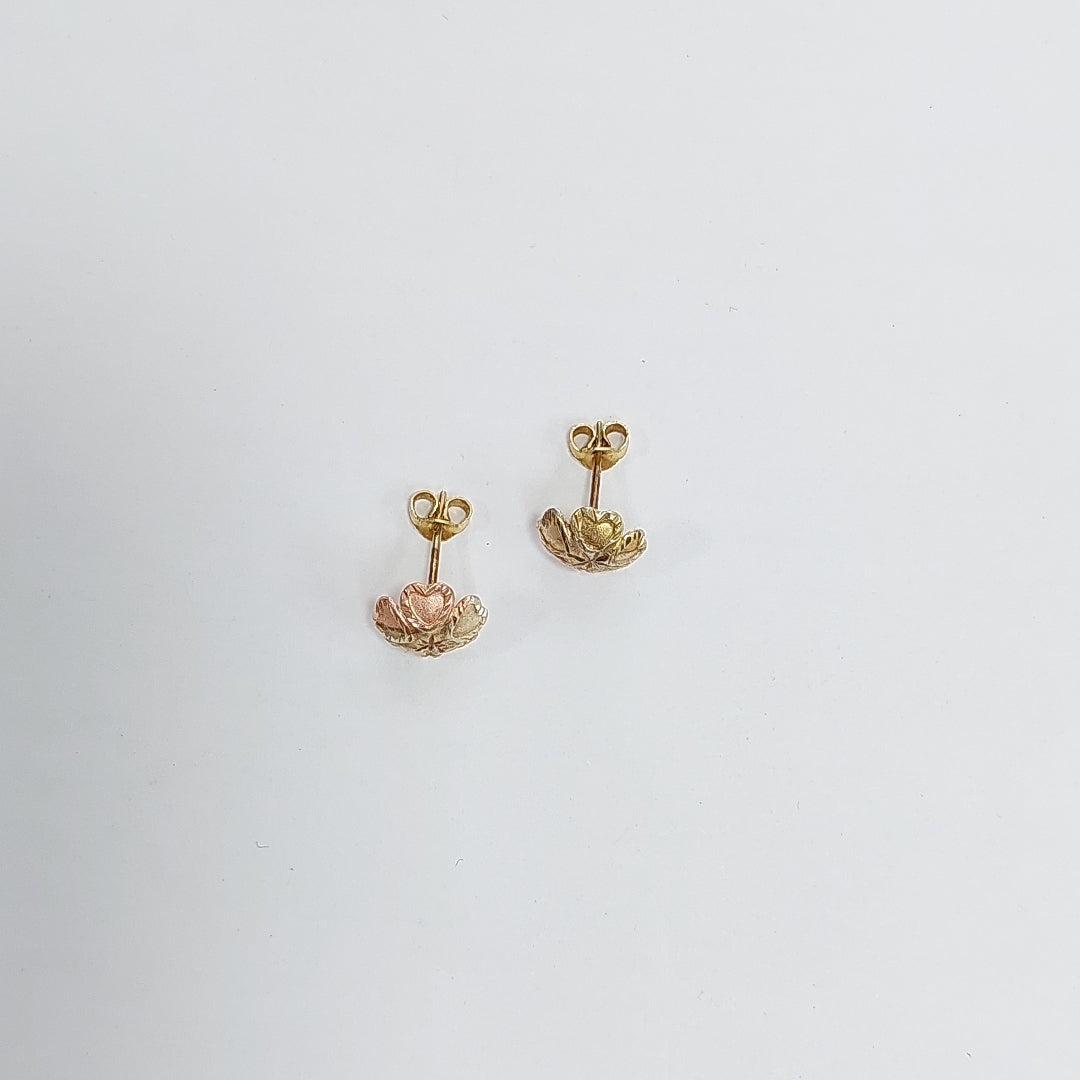 BROQUELES PAR ORO, ORO COMBINADO 10 K 0.9 GRMS (SEMINUEVO)