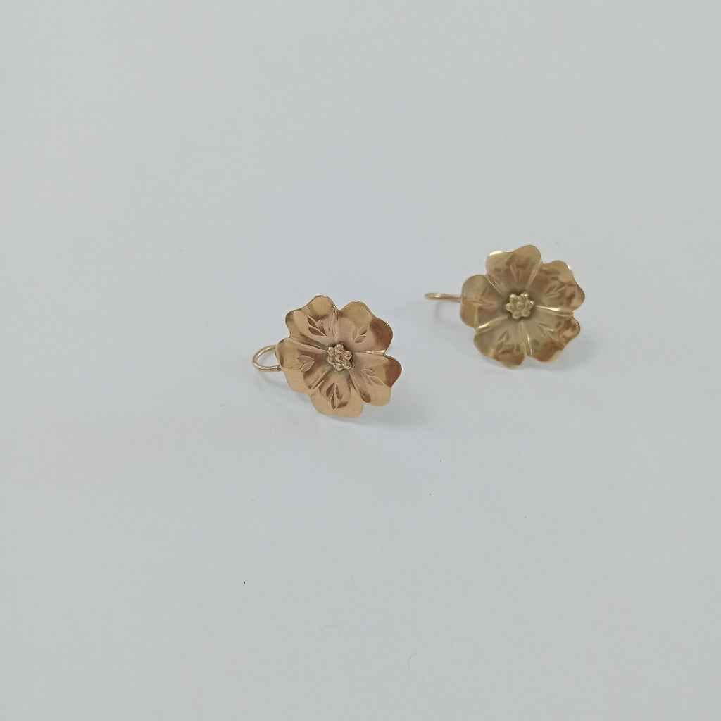 ARETES PAR ORO 10 K 2.2 GRMS (SEMINUEVO)