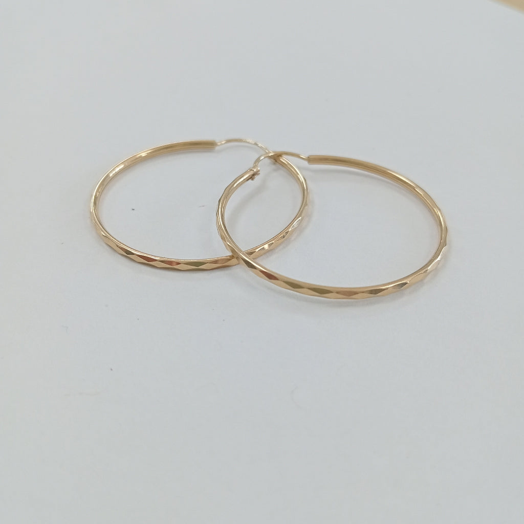 ARETES PAR ORO 10 K 2.4 GRMS (SEMINUEVO)