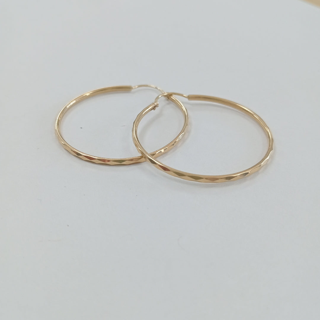 ARETES PAR ORO 10 K 2.4 GRMS (SEMINUEVO)