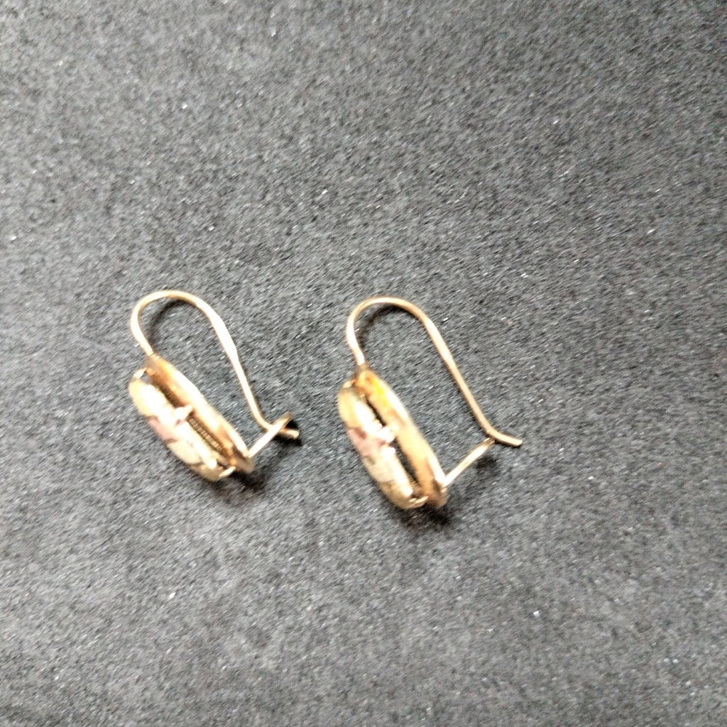 ARETES PAR ORO 10 K 1,80 GRMS (SEMINUEVO)