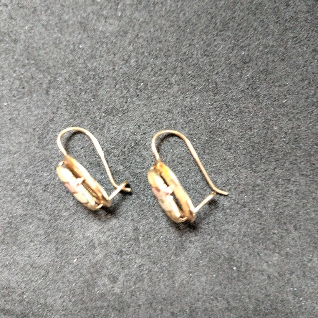 ARETES PAR ORO 10 K 1,80 GRMS (SEMINUEVO)