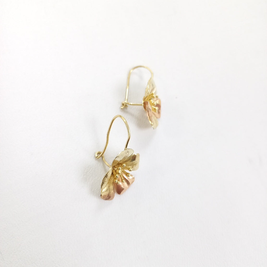 ARETES PAR ORO 14 K 3.3 GRMS (SEMINUEVO)