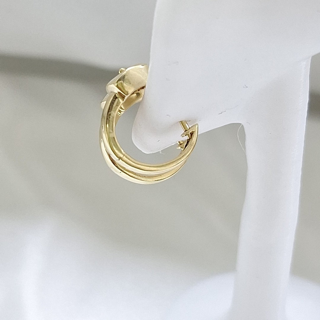 ARETES PAR ORO 14 K 3.1 GRMS (SEMINUEVO)