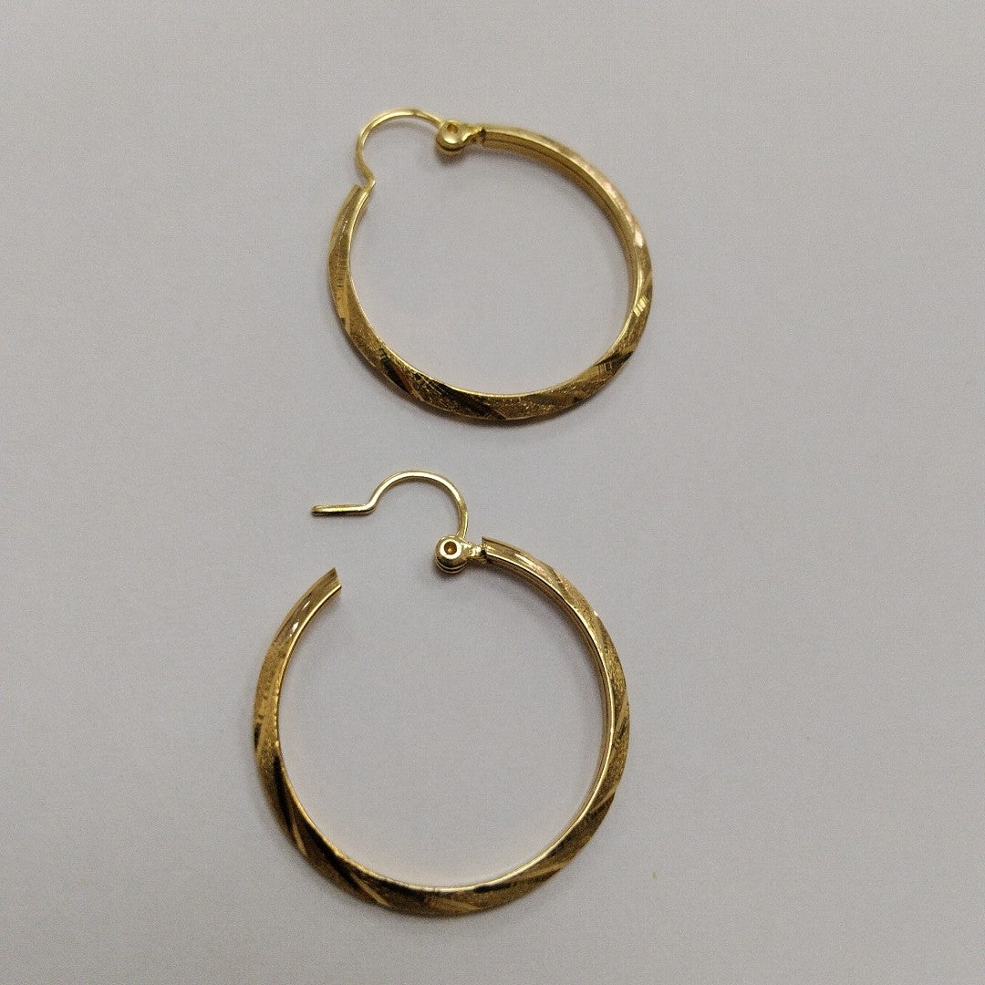 ARETES PAR ORO 10 K 1.9 GRMS (SEMINUEVO)