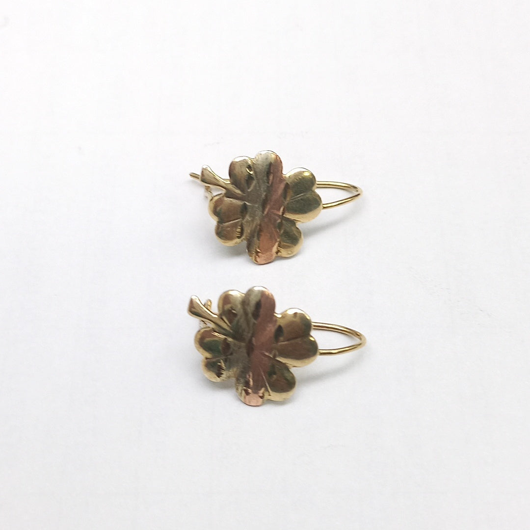 ARETES PAR ORO, ORO COMBINADO 10 K 1.1 GRMS (SEMINUEVO)