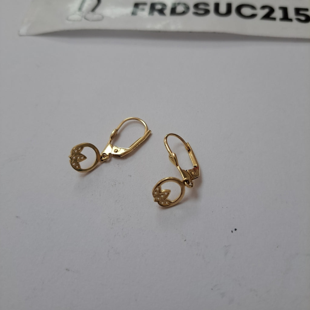 ARRACADAS PAR ORO 14 K 2,00 GRMS (SEMINUEVO)