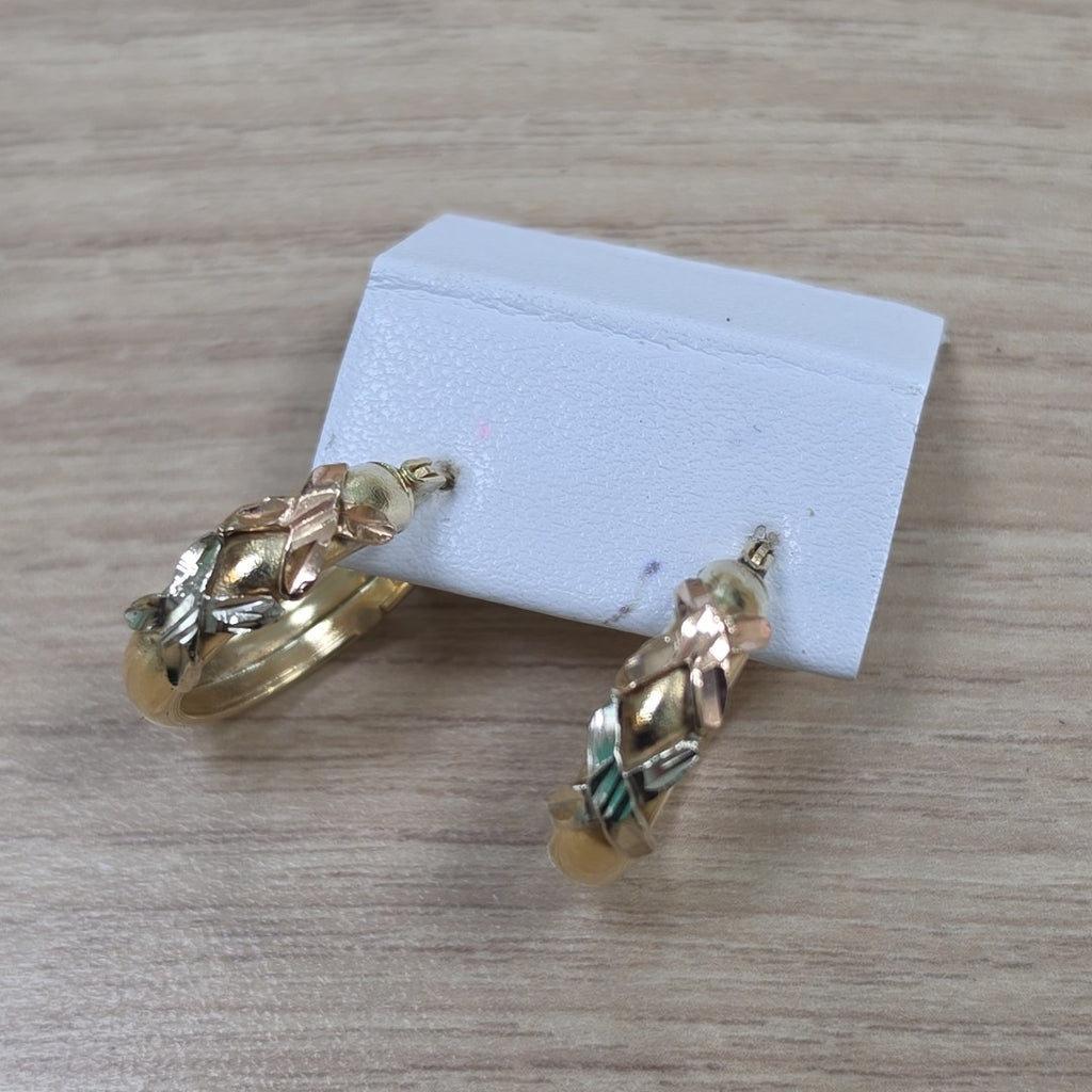 ARRACADAS PAR ORO 10 K 3.5 GRMS (SEMINUEVO)