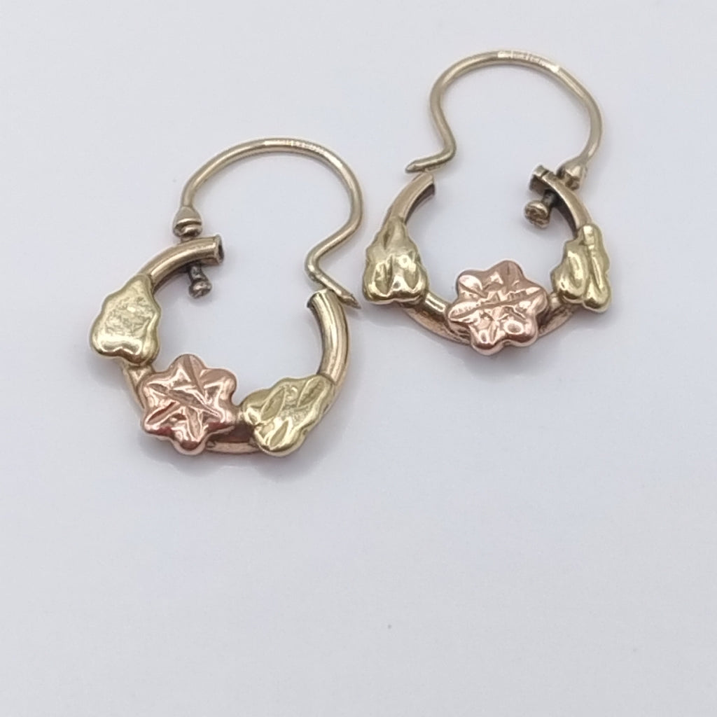 ARETES PAR ORO 10 K 1.7 GRMS (SEMINUEVO)