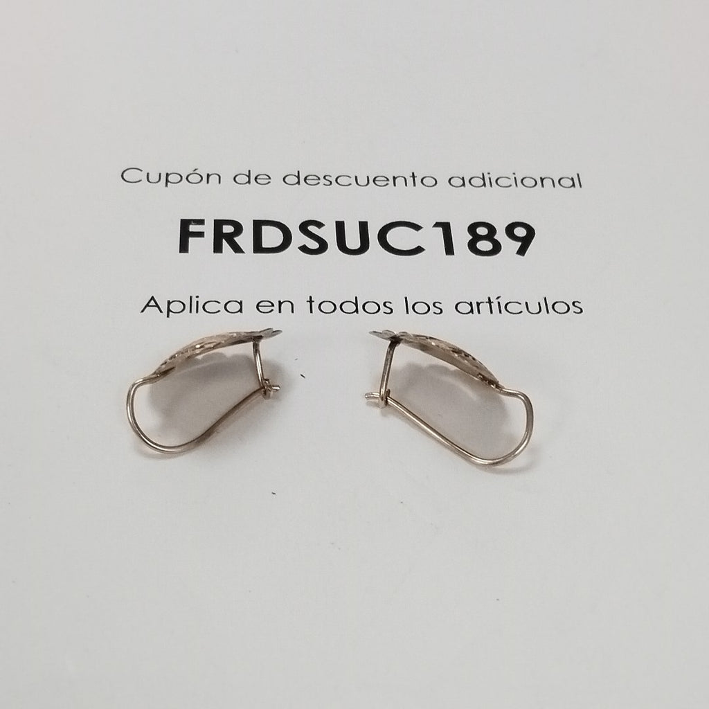 ARETES PAR ORO 10 K 2.1 GRMS (SEMINUEVO)
