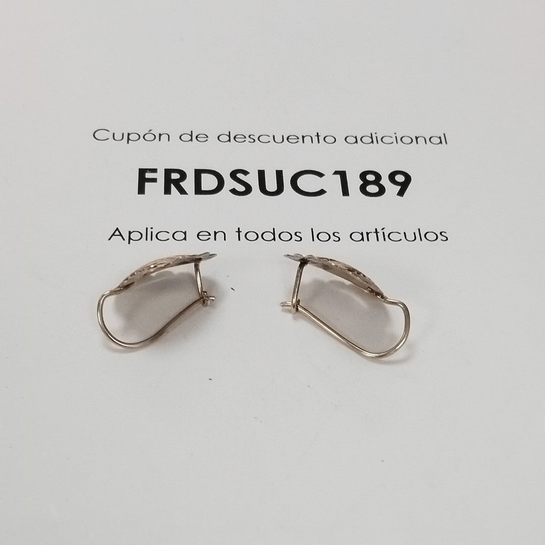 ARETES PAR ORO 10 K 2.1 GRMS (SEMINUEVO)