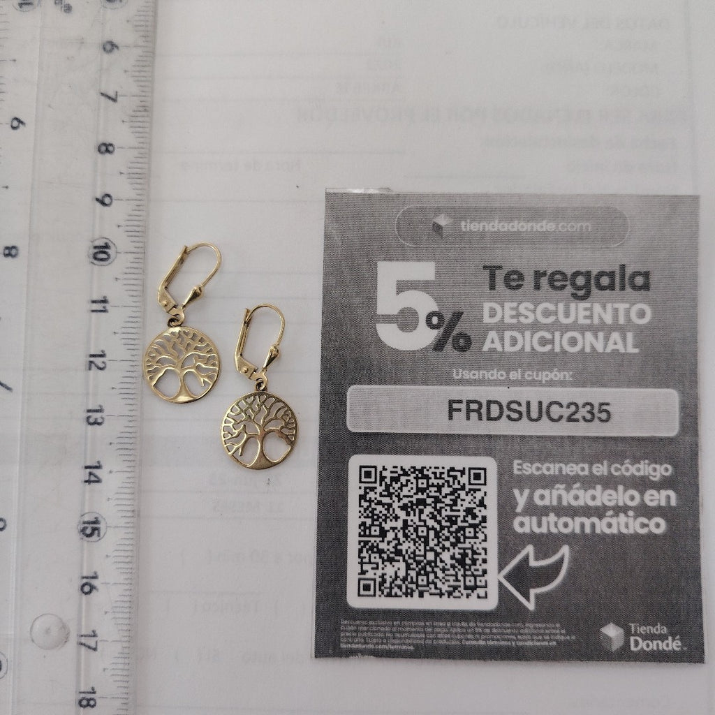 ARETES PAR ORO 10 K 1,90 GRMS (SEMINUEVO)