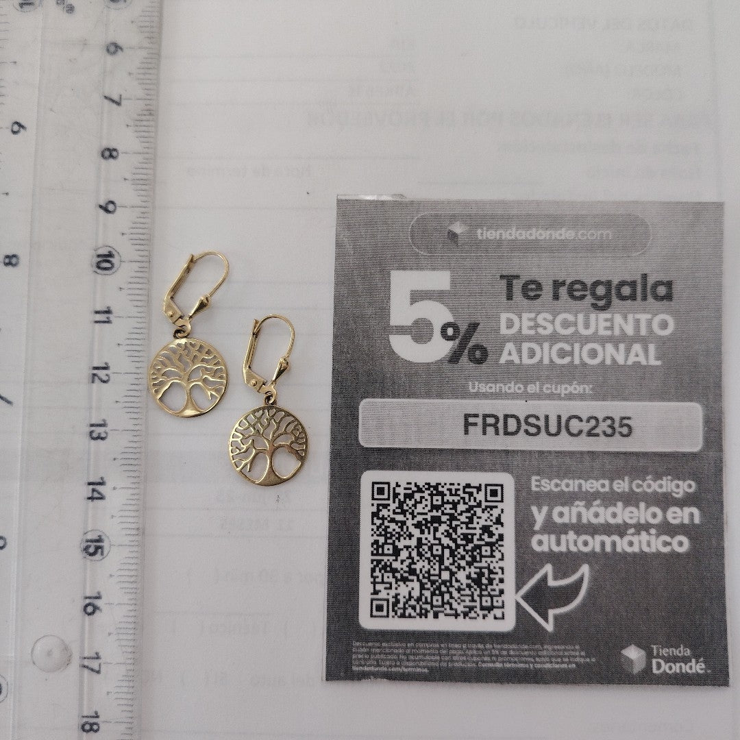 ARETES PAR ORO 10 K 1,90 GRMS (SEMINUEVO)