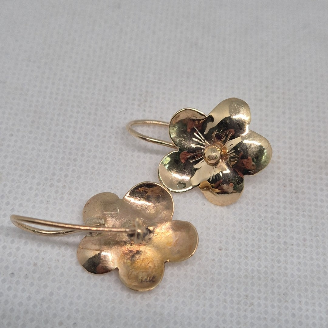 ARETES PAR ORO 14 K 2.7 GRMS (SEMINUEVO)