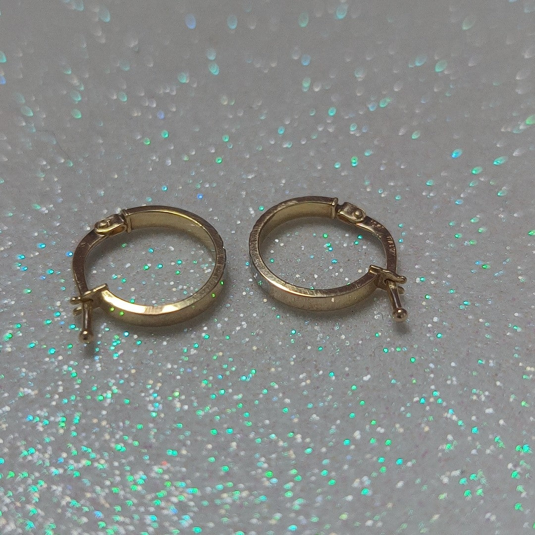 ARRACADAS PAR ORO 10 K 0.8 GRMS (SEMINUEVO)