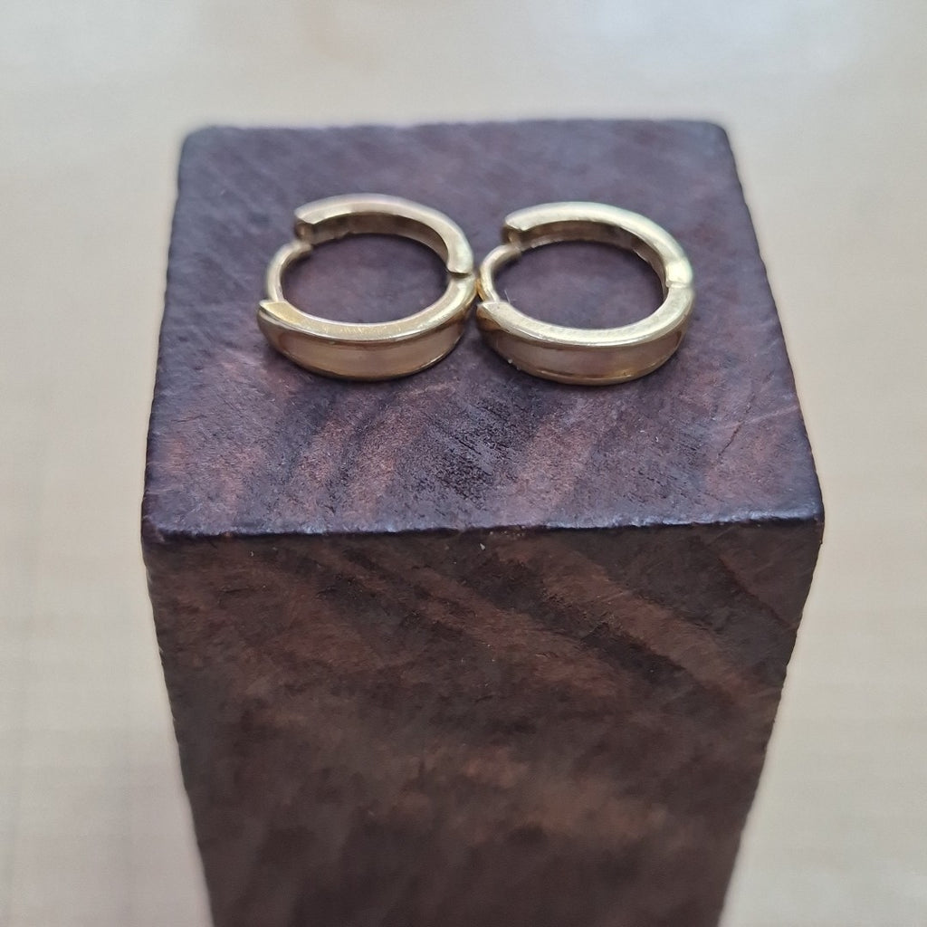 ARETES PAR ORO 10 K 1 GRMS (SEMINUEVO)
