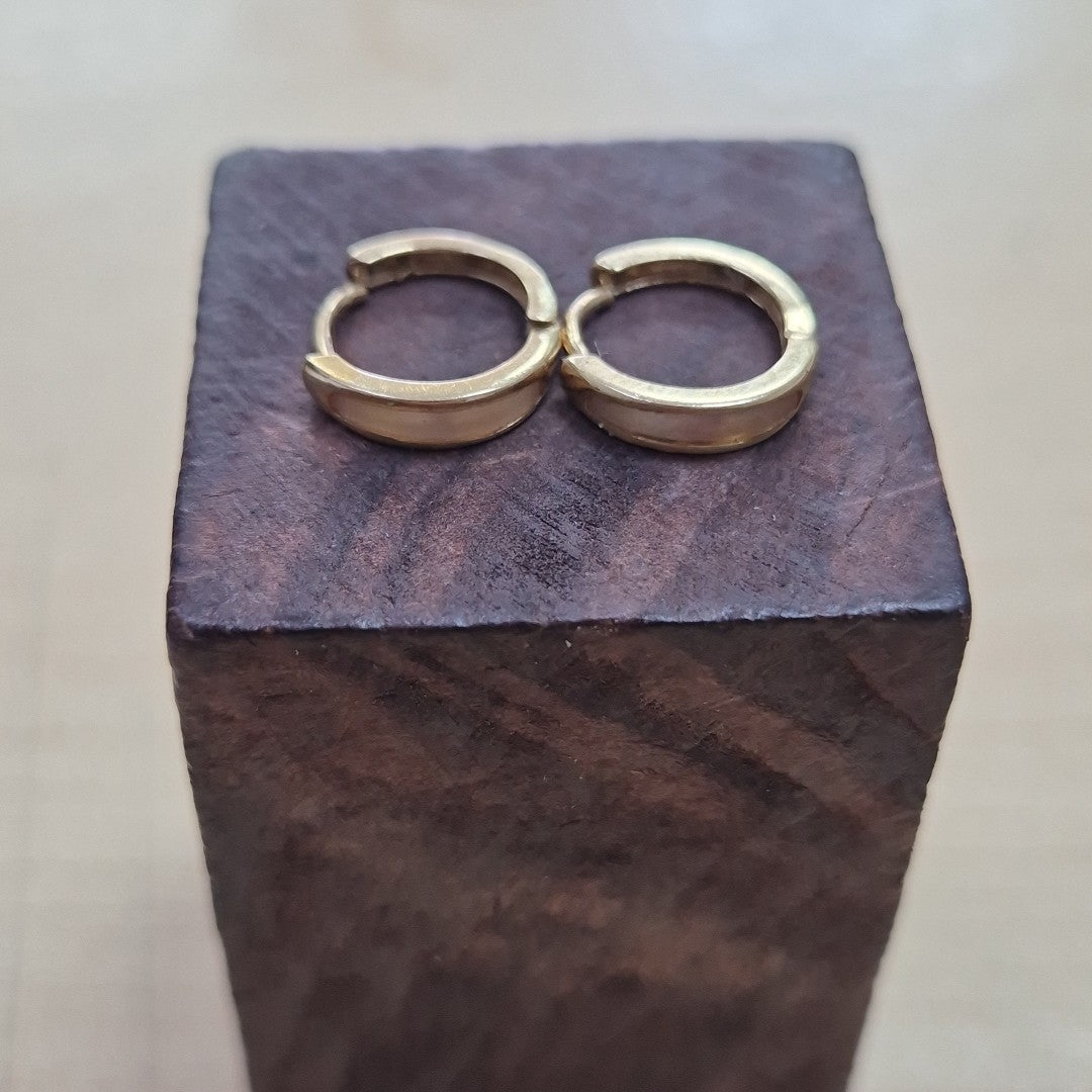 ARETES PAR ORO 10 K 1 GRMS (SEMINUEVO)