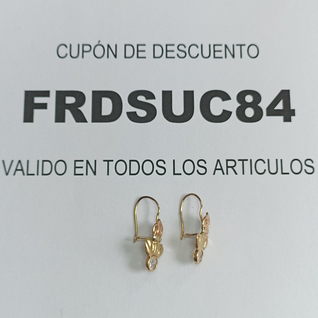 ARETES PAR ORO 10 K 1.5 GRMS (SEMINUEVO)