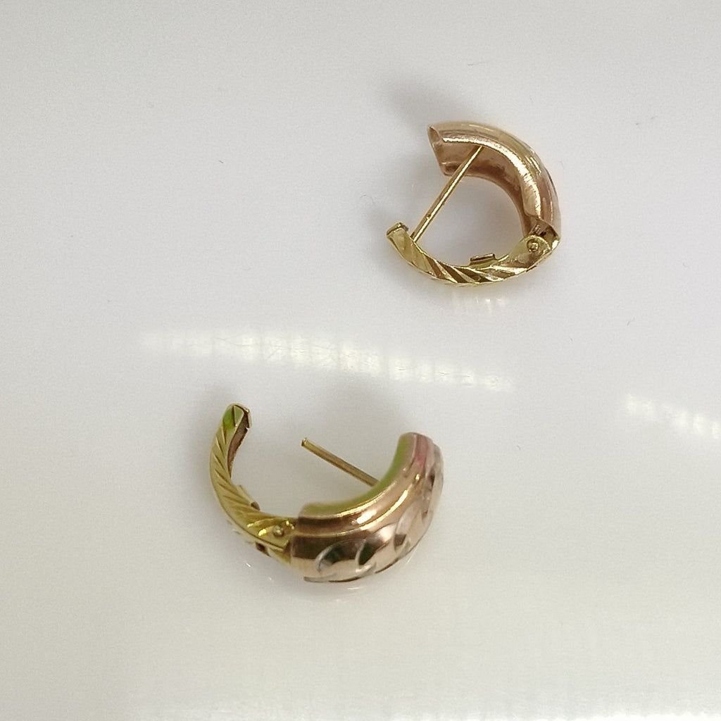 ARETES PAR ORO 10 K 2,90 GRMS (SEMINUEVO)