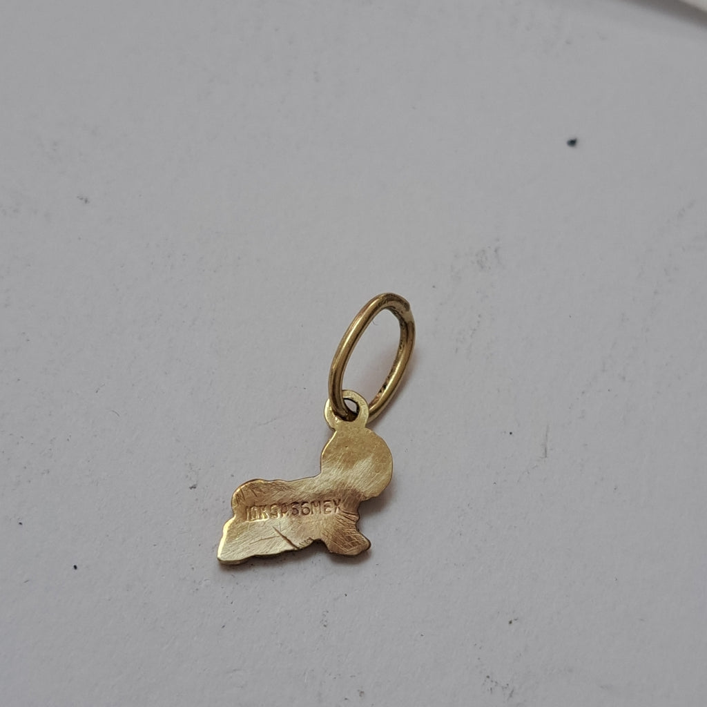 DIJE ORO 10 K 0,80 GRMS (SEMINUEVO)