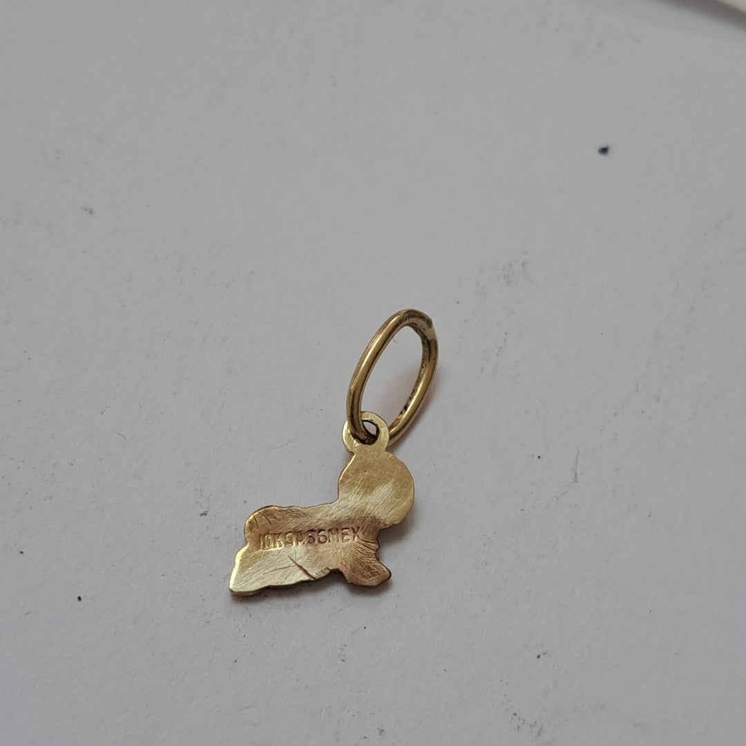 DIJE ORO 10 K 0,80 GRMS (SEMINUEVO)