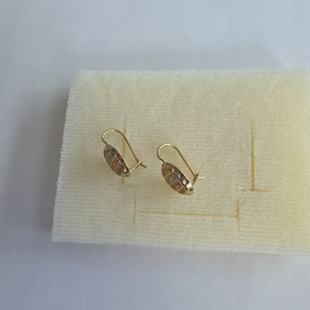 ARETES PAR ORO, RODIADO 10 K 1.1 GRMS (SEMINUEVO)
