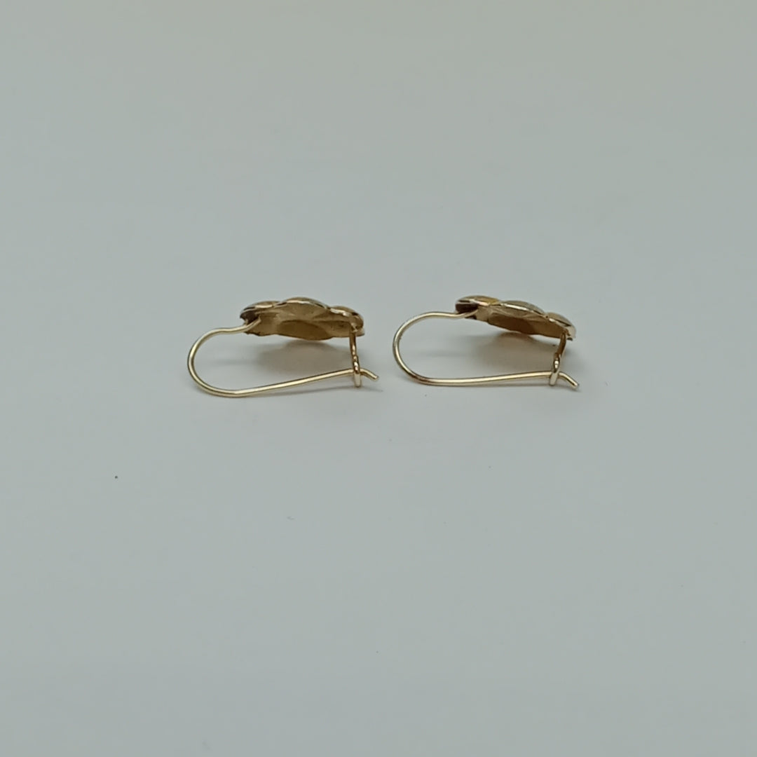 ARETES PAR ORO 10 K 1,50 GRMS (SEMINUEVO)