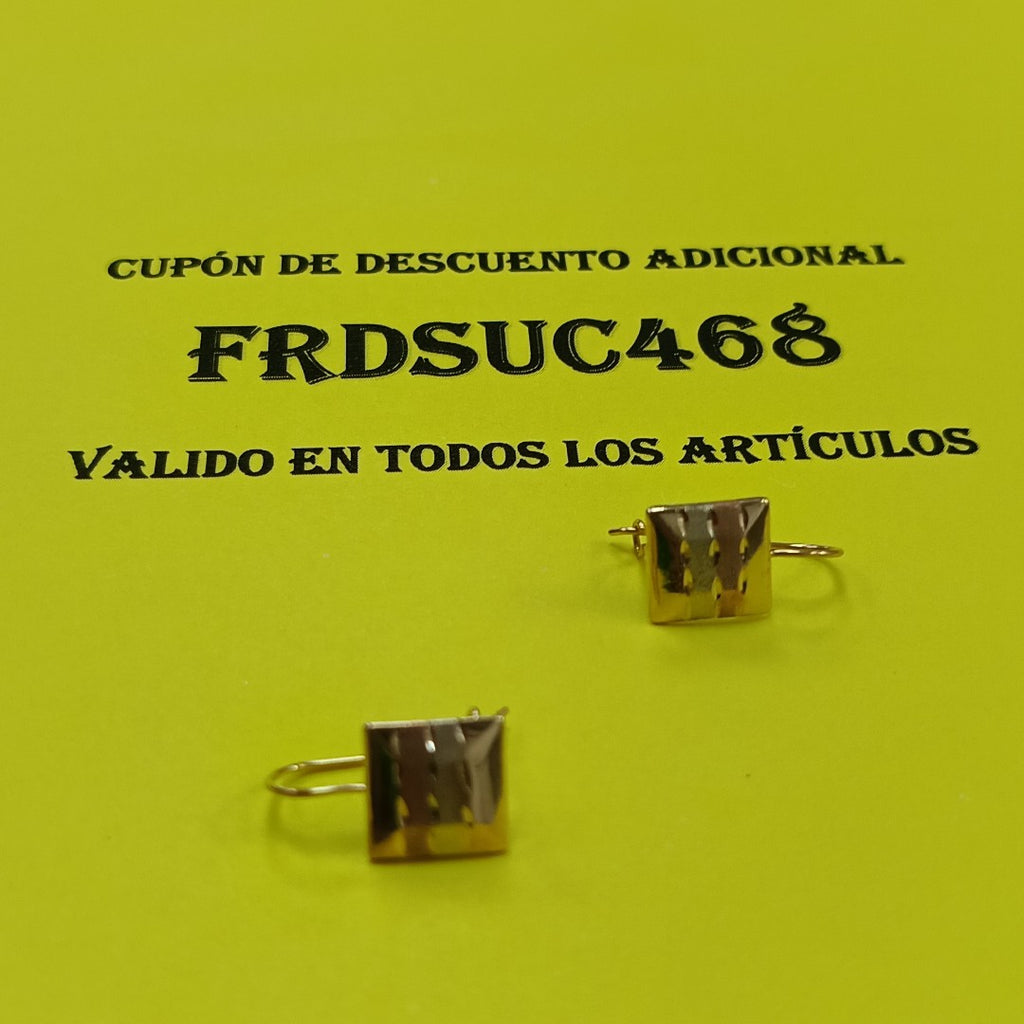 ARETES PAR ORO,ORO COMBINADO 10 K 1,20 GRMS (SEMINUEVO)