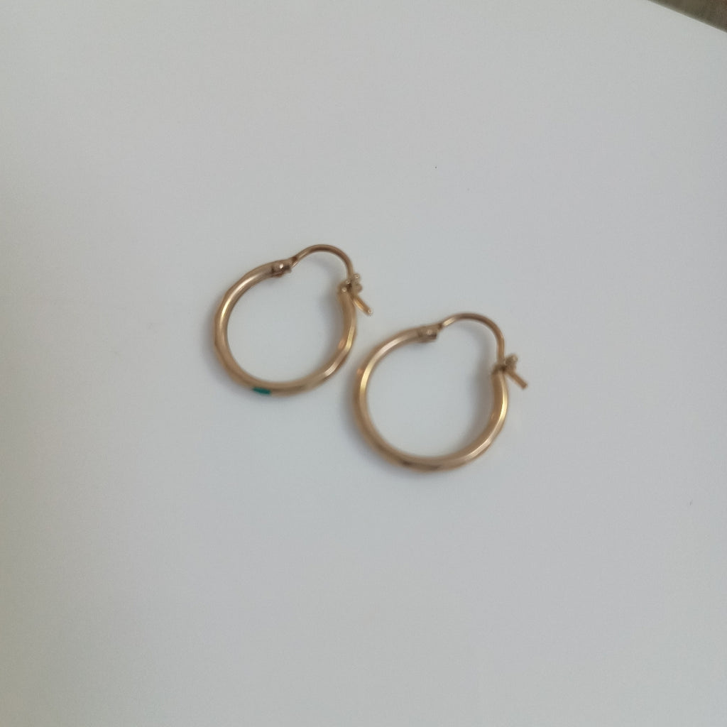 ARRACADAS PAR ORO 10 K 1 GRMS (SEMINUEVO)
