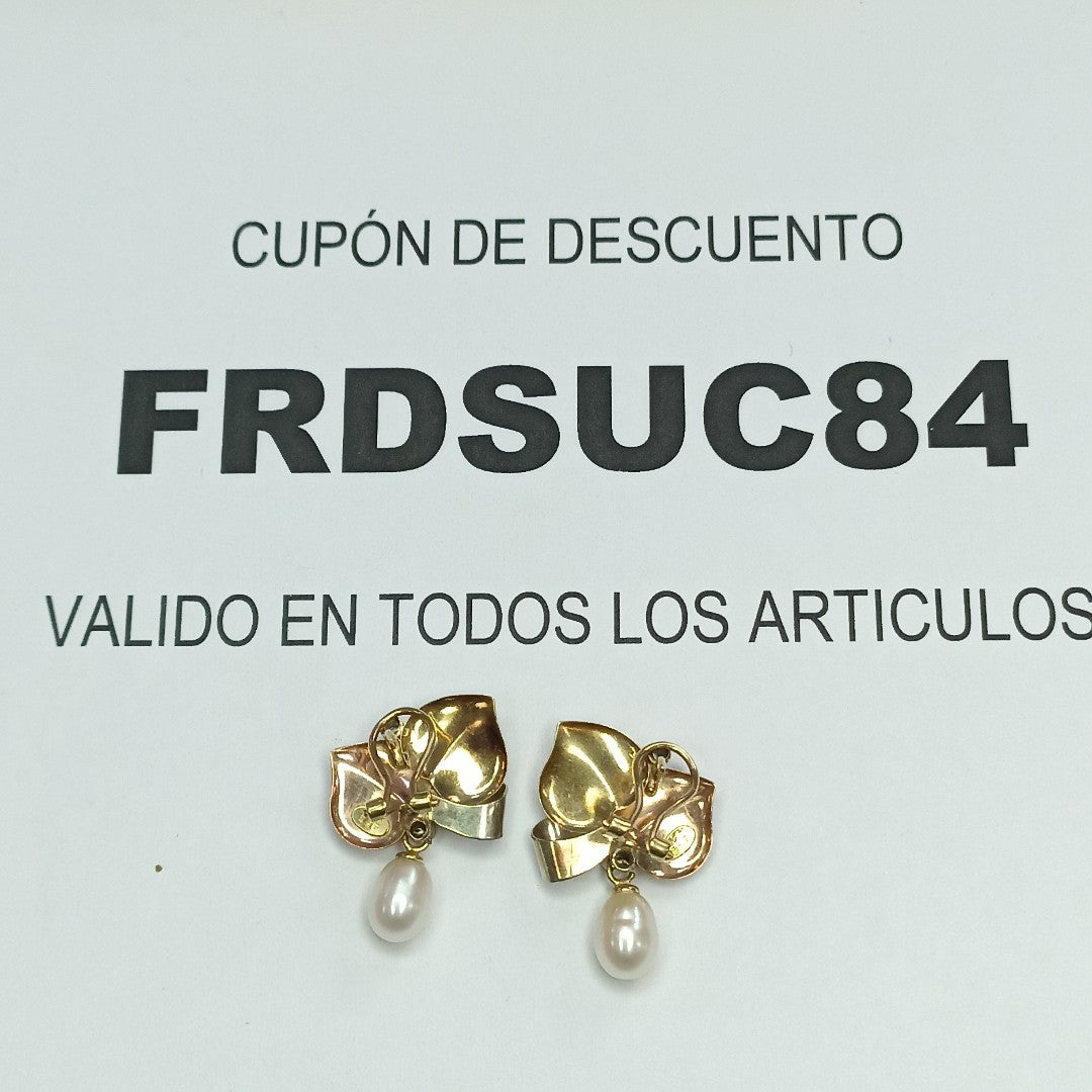 ARETES PAR ORO 10 K 4,40 GRMS (SEMINUEVO)