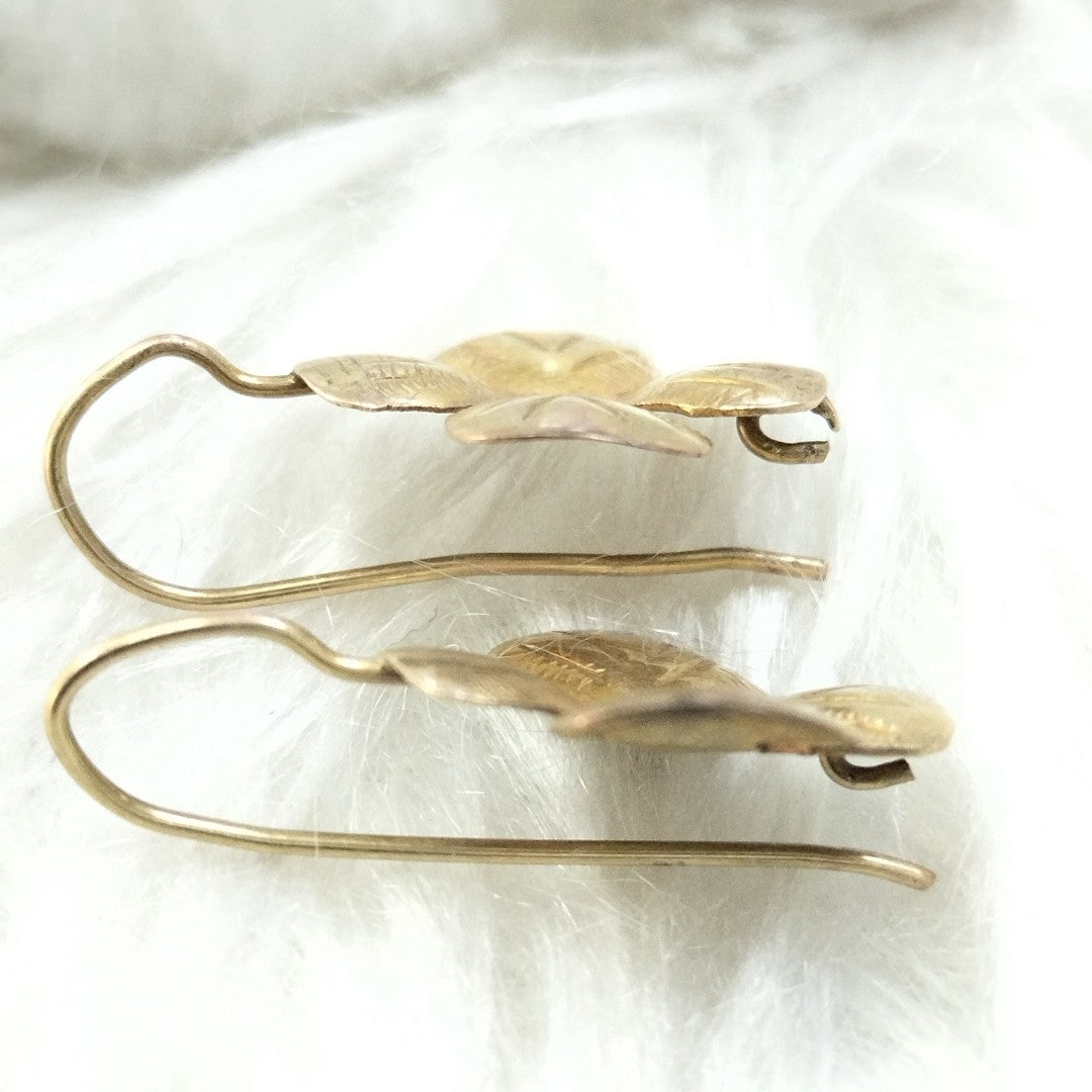 ARETES PAR ORO 10 K 1.4 GRMS (SEMINUEVO)