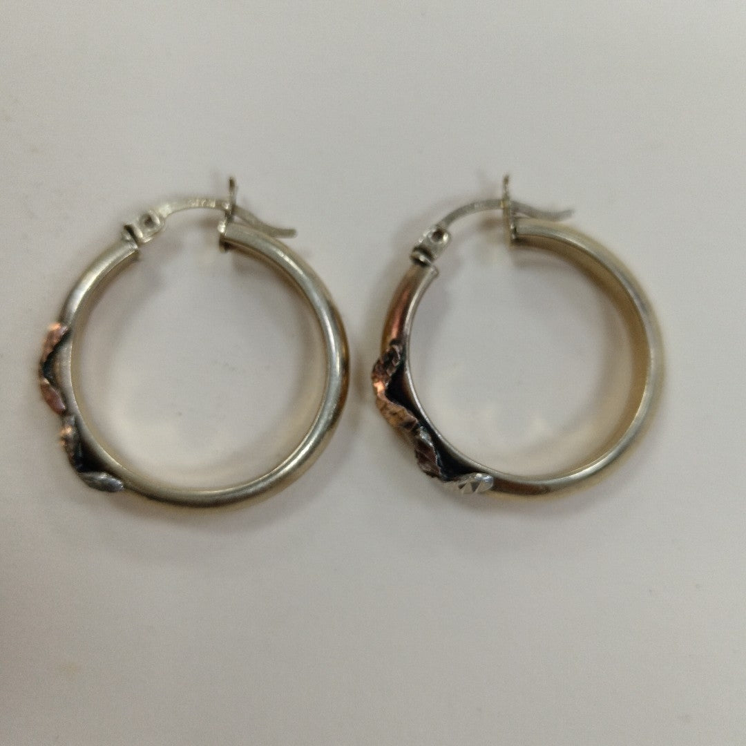 ARRACADAS PAR ORO 10 K 3.7 GRMS (SEMINUEVO)